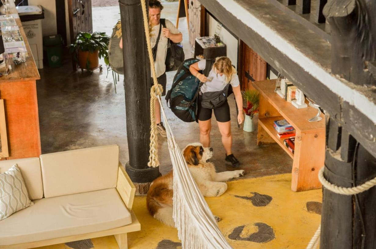 Coffee Tree Boutique Hostel ซาเลนโต ภายนอก รูปภาพ